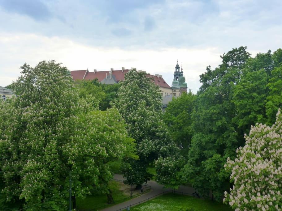 Apartament Gertrudy Belle Apartment Krakow Ruang foto